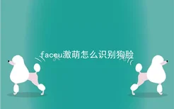 faceu激萌怎么识别狗脸