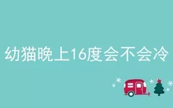 幼猫晚上16度会不会冷