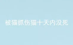 被猫抓伤猫十天内没死