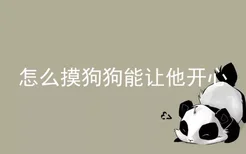 怎么摸狗狗能让他开心