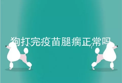 狗打完疫苗腿瘸正常吗