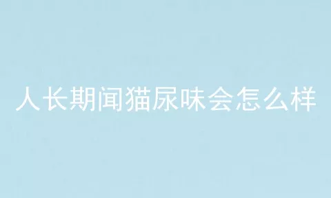 人长期闻猫尿味会怎么样