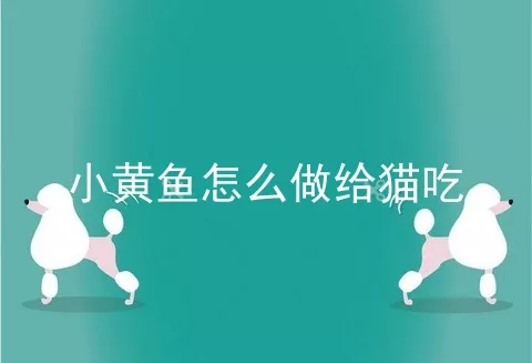 小黄鱼怎么做给猫吃