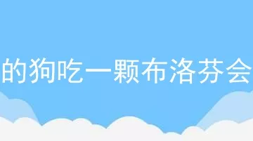 60斤的狗吃一颗布洛芬会中毒