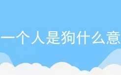 骂一个人是狗什么意思