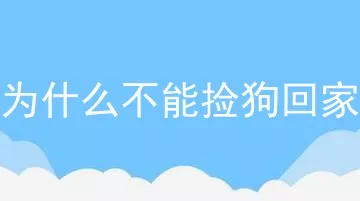 为什么不能捡狗回家