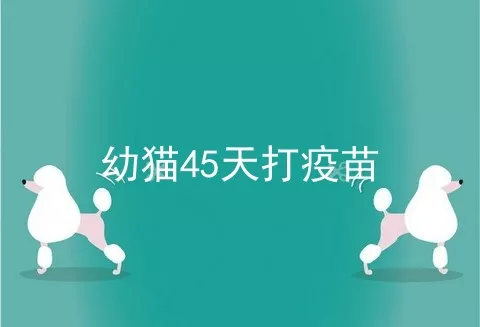 幼猫45天打疫苗