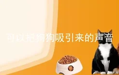 可以把狗狗吸引来的声音