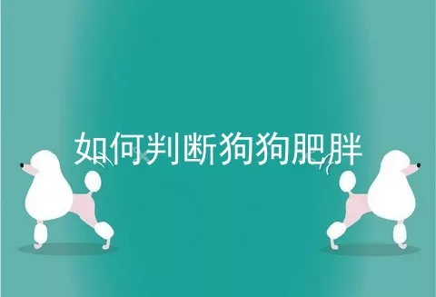 如何判断狗狗肥胖