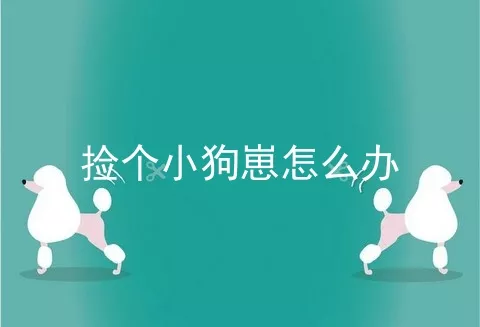 捡个小狗崽怎么办