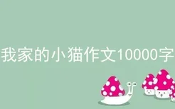 我家的小猫作文10000字