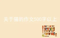 关于猫的作文500字以上