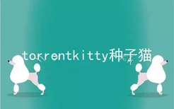 torrentkitty种子猫