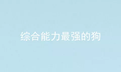 综合能力最强的狗