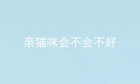 亲猫咪会不会不好