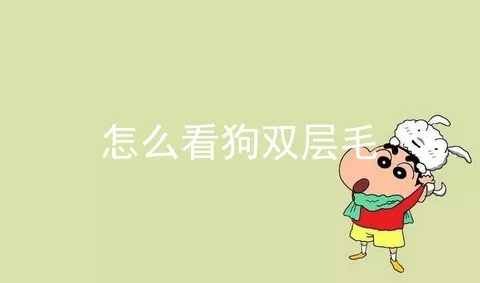 怎么看狗双层毛