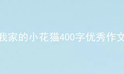 我家的小花猫400字优秀作文