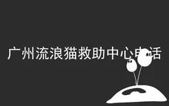 广州流浪猫救助中心电话