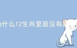 为什么12生肖里面没有属猫的