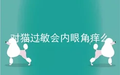 对猫过敏会内眼角痒么