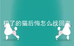 扔了的猫后悔怎么找回来