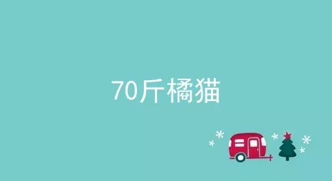 70斤橘猫