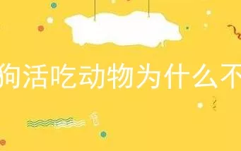 鬣狗活吃动物为什么不叫