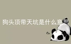 狗头顶带天坑是什么意思