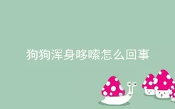 狗狗浑身哆嗦怎么回事