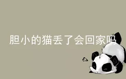 胆小的猫丢了会回家吗