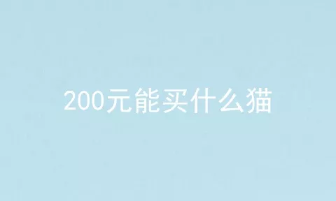 200元能买什么猫