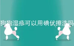 狗狗湿疹可以用碘伏擦洗吗