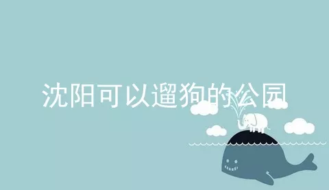 沈阳可以遛狗的公园