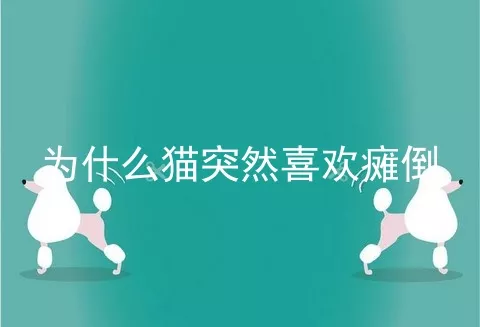 为什么猫突然喜欢瘫倒