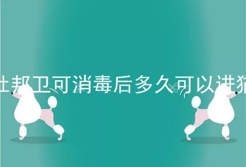 杜邦卫可消毒后多久可以进猫