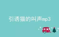 引诱猫的叫声mp3