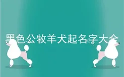 黑色公牧羊犬起名字大全