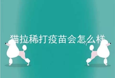 猫拉稀打疫苗会怎么样