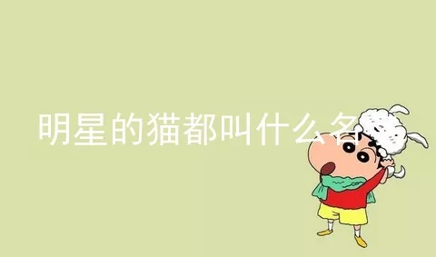 明星的猫都叫什么名字