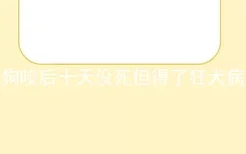 狗咬后十天没死但得了狂犬病