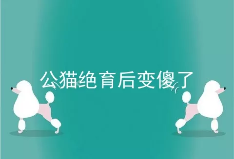 公猫绝育后变傻了