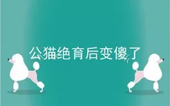 公猫绝育后变傻了