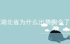 湖北省为什么出禁狗令了