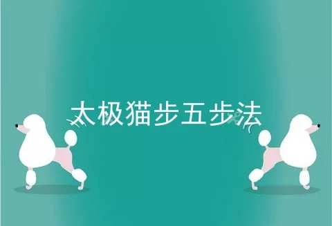 太极猫步五步法