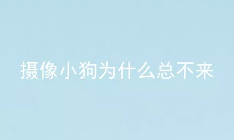 摄像小狗为什么总不来