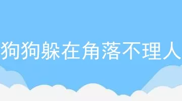 狗狗躲在角落不理人