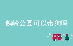 鹅岭公园可以带狗吗