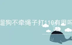 遛狗不牵绳子打110有用吗