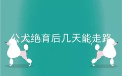 公犬绝育后几天能走路