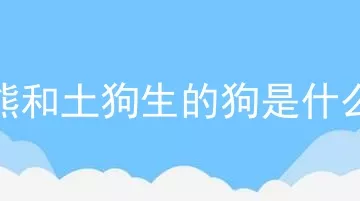 比熊和土狗生的狗是什么狗